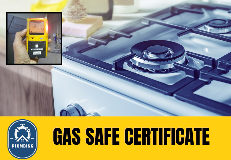 gas safe certificate Paddock Wood